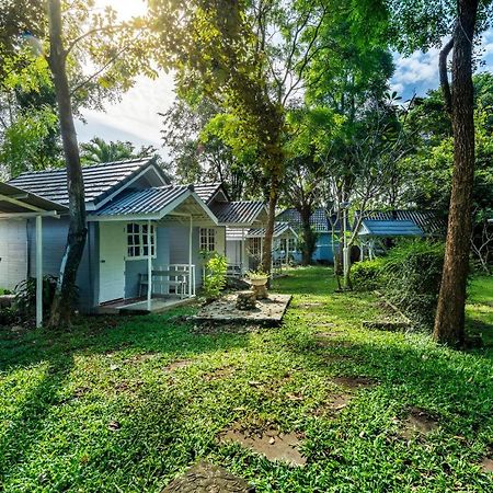 Ivy Cottage By Qiu Муаклек Экстерьер фото